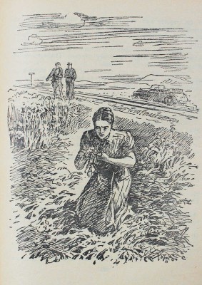 Томан Н. По светлому следу. Повести / Рис. К. Арцеулова. М.; Л: Детгиз, 1950.